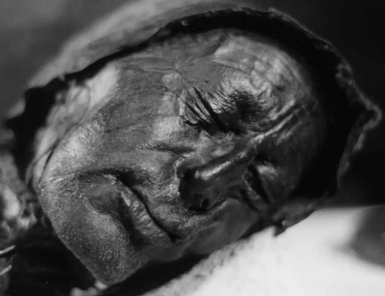 Tollund Man