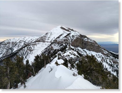 Mount Charleston, NV.
