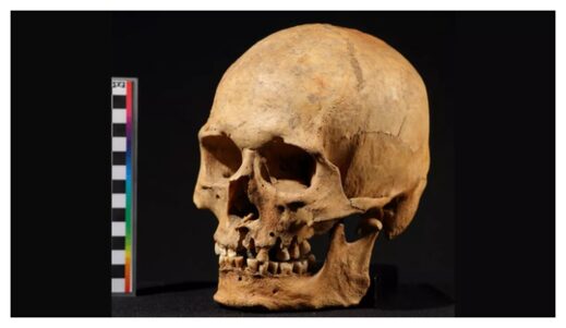 Click to enlarge Ancient Skull