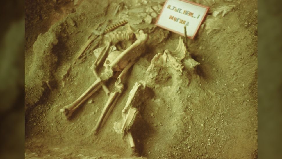 Click to enlarge PreHistoric Grave