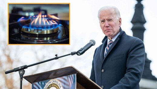 biden gas stoves satire