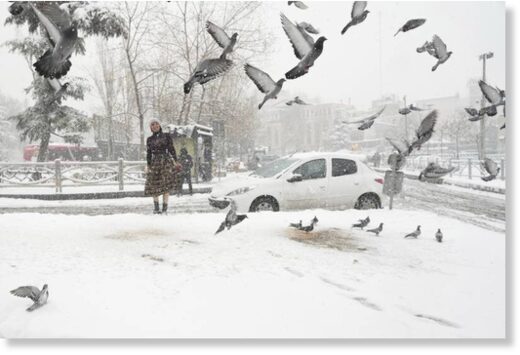 Pigeons forage for something to eat in the snow at Tajrish Square in Tehran.