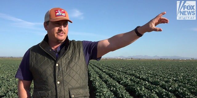 Click to enlarge famland border migrants damage food safety