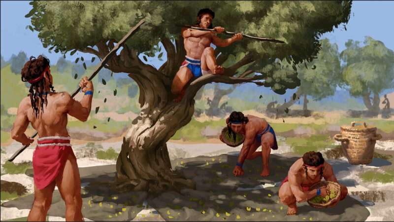 Bronze Age