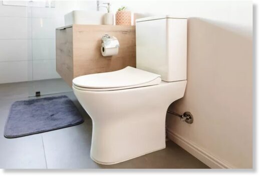 toilet