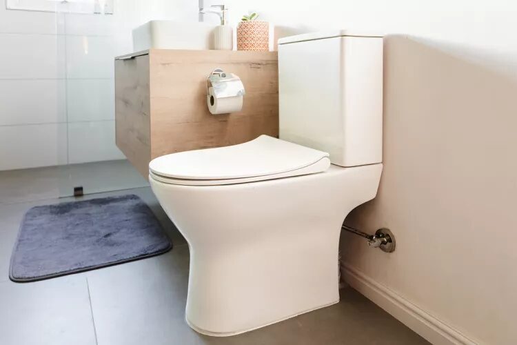 toilet