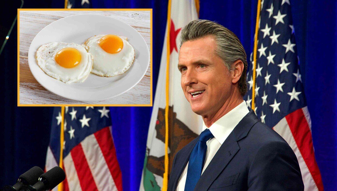 gavin newsom eggs gas stove satire
