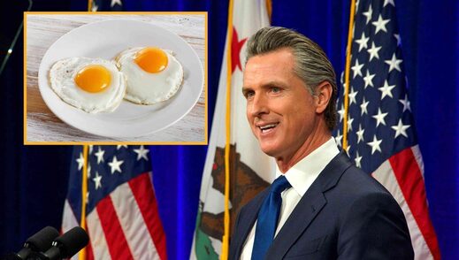 gavin newsom eggs gas stove satire