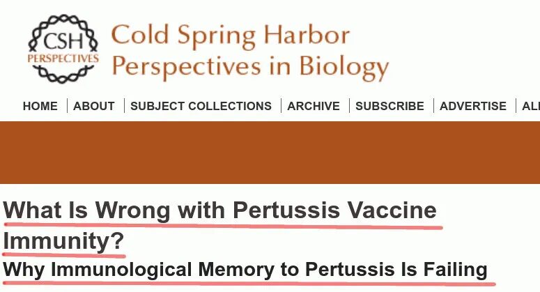 IgG4 induction in pertussis due to repeat injections