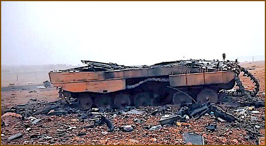 Leopard wreck