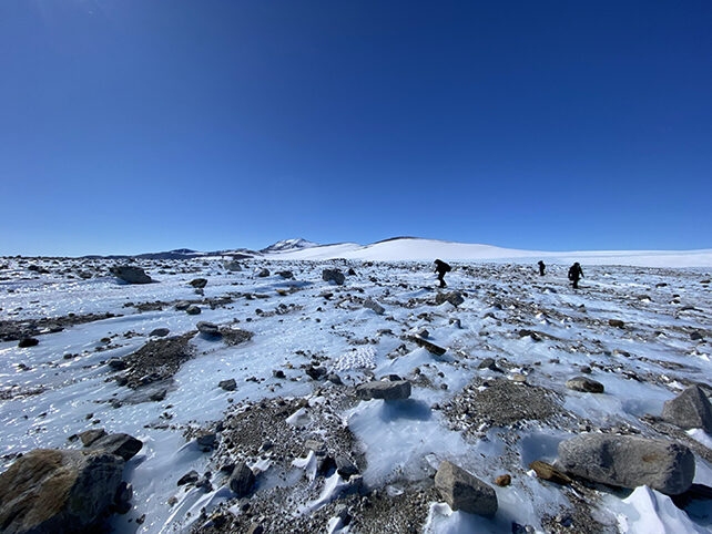 meteorites antarctica discoverys