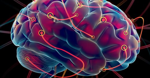 fluid intelligence