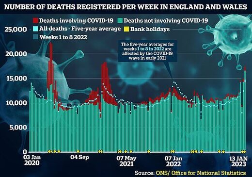 spike deaths UK vax