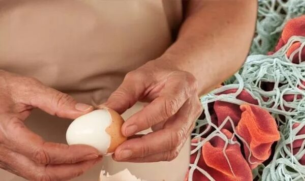 Click to enlarge boiled egg