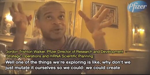project veritas pfizer director