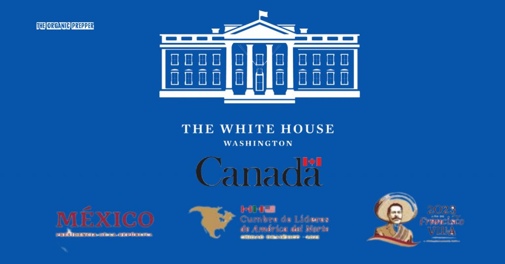 Click to enlarge The Declaration of North America