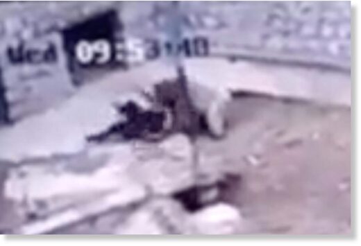 Click to enlarge The brown bear pounces on the man
