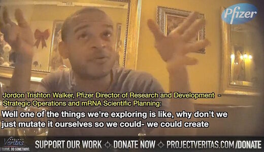 pfizer scientist directed evolution veritas