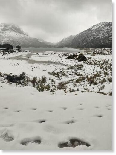 Snow at the Cúber reservoir.
