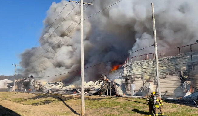 Click to enlarge egg fire
