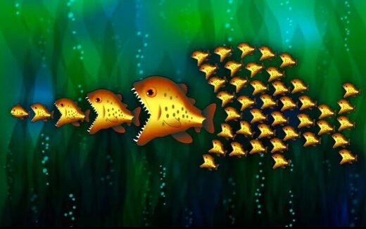 fishwteeth