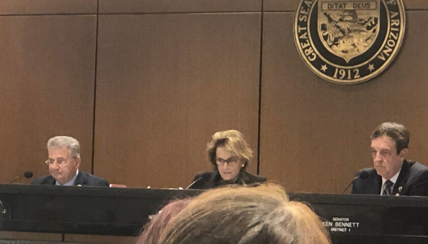 arizona senate election committee