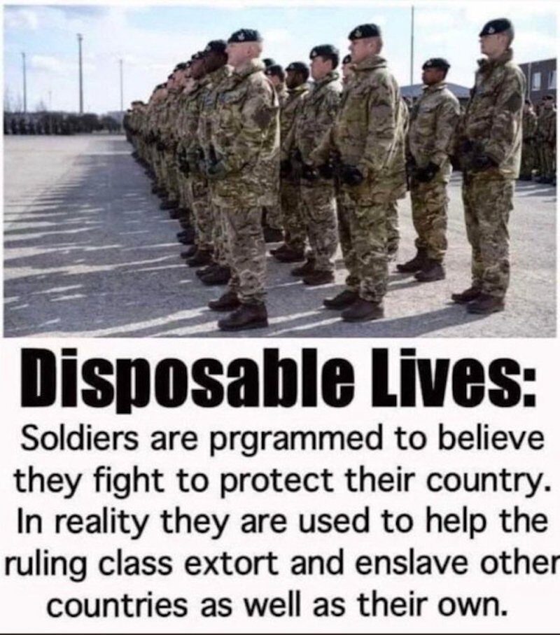 disposable lives