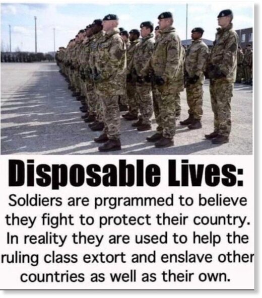 disposable lives