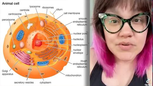 Click to enlarge biology woke teacher