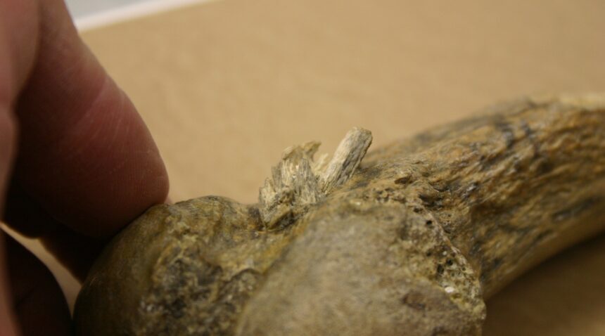 Click to enlarge Close up of Spear Point