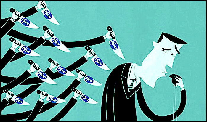 What was seen by the Pfizer whistleblowers?