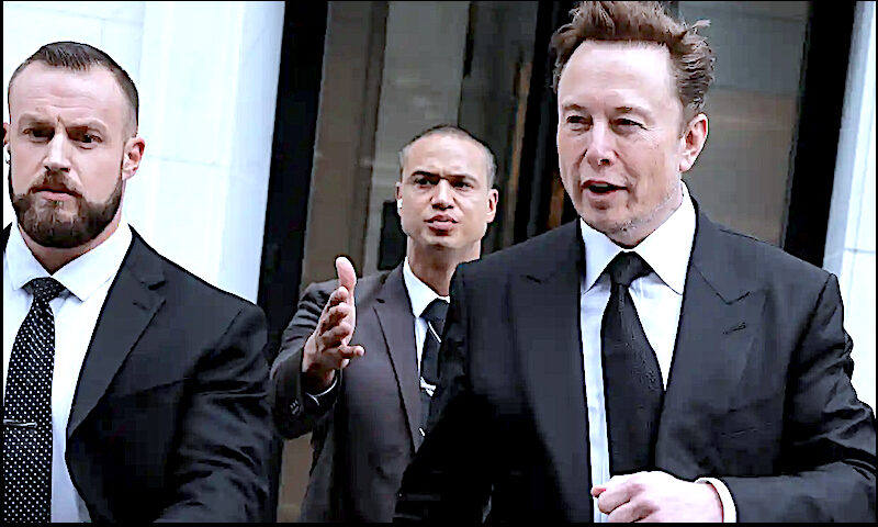 Musk +