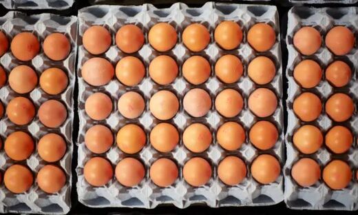 Click to enlarge eggs