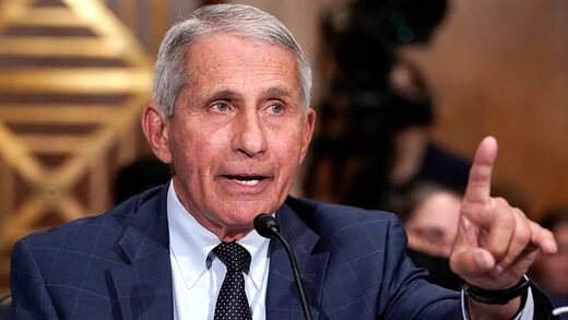 Click to enlarge fauci capitol hill senate
