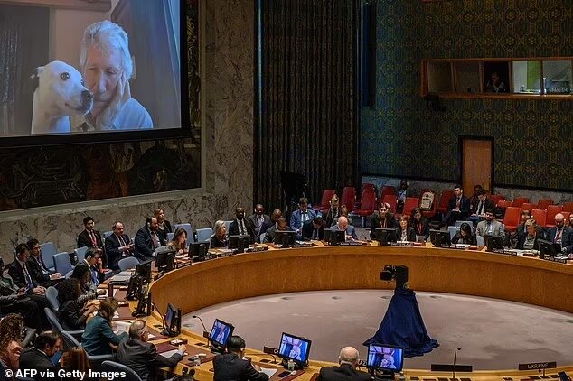 roger waters UN security council