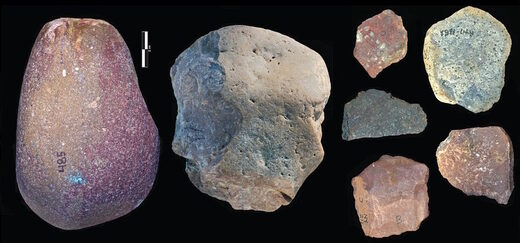 Oldowan toolkit found at Nyayanga hominims