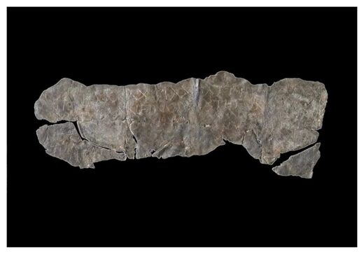 Click to enlarge Curse tablet