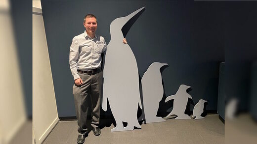 Click to enlarge biggest penguin Kumimanu fordycei new zealand