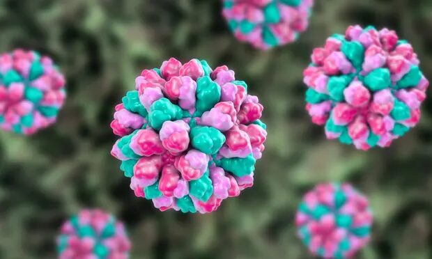 Click to enlarge Norovirus