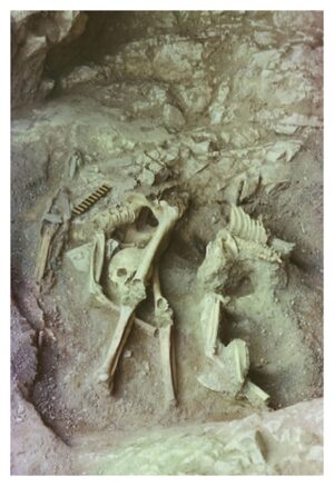 Excavation of the Nizhnetytkesken cave