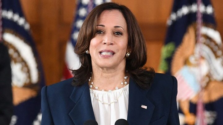 kamala harris president run election