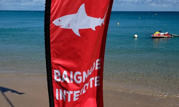 Click to enlarge A shark warning sign in Nouméa, New Caledonia, where an Australian tourist was killed by a shark on Sunday.