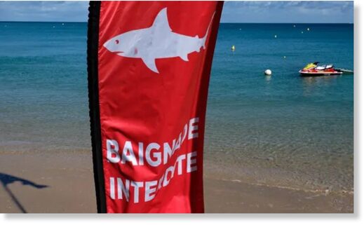 Click to enlarge A shark warning sign in Nouméa, New Caledonia, where an Australian tourist was killed by a shark on Sunday.