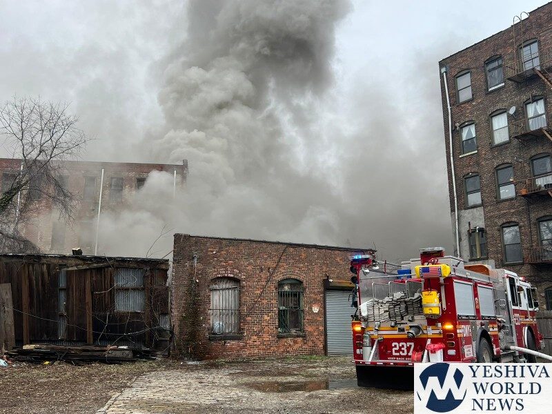 fire brooklyn timber