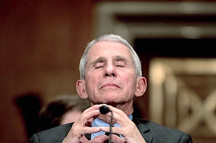 Click to enlarge Fauci