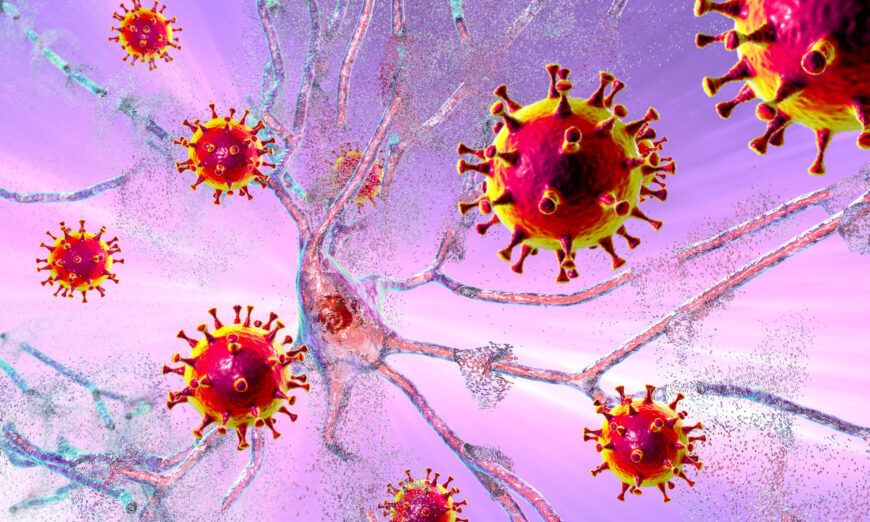 Click to enlarge coronavirus