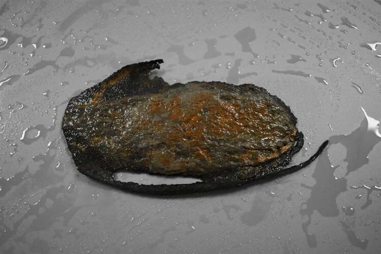 Click to enlarge The shoe after cleaning.