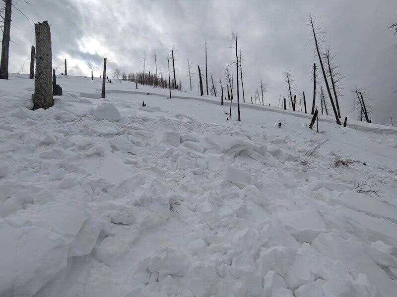 The aftermath of an avalanche near the Vallecito Reservoir in Colorado, where two backcountry skiers were killed this weekend.