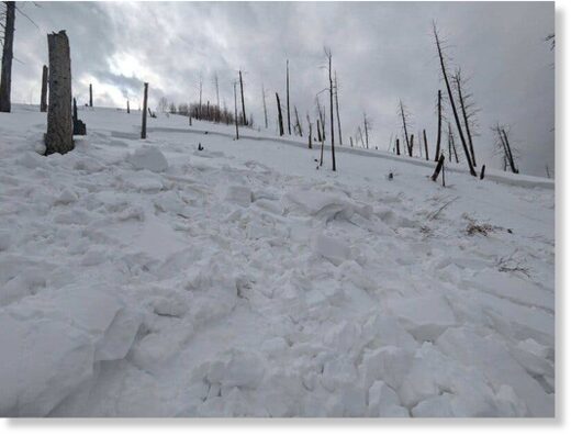 The aftermath of an avalanche near the Vallecito Reservoir in Colorado, where two backcountry skiers were killed this weekend.