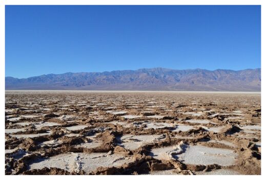 Salt Desert